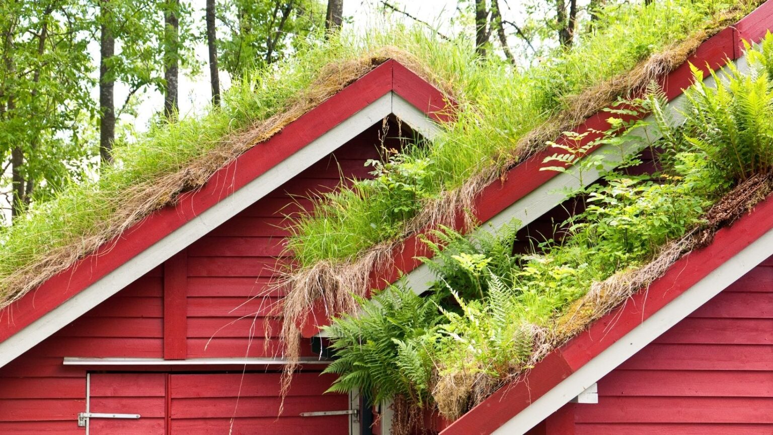 Log Cabin Roofing Materials List Lake Mountain Cabin