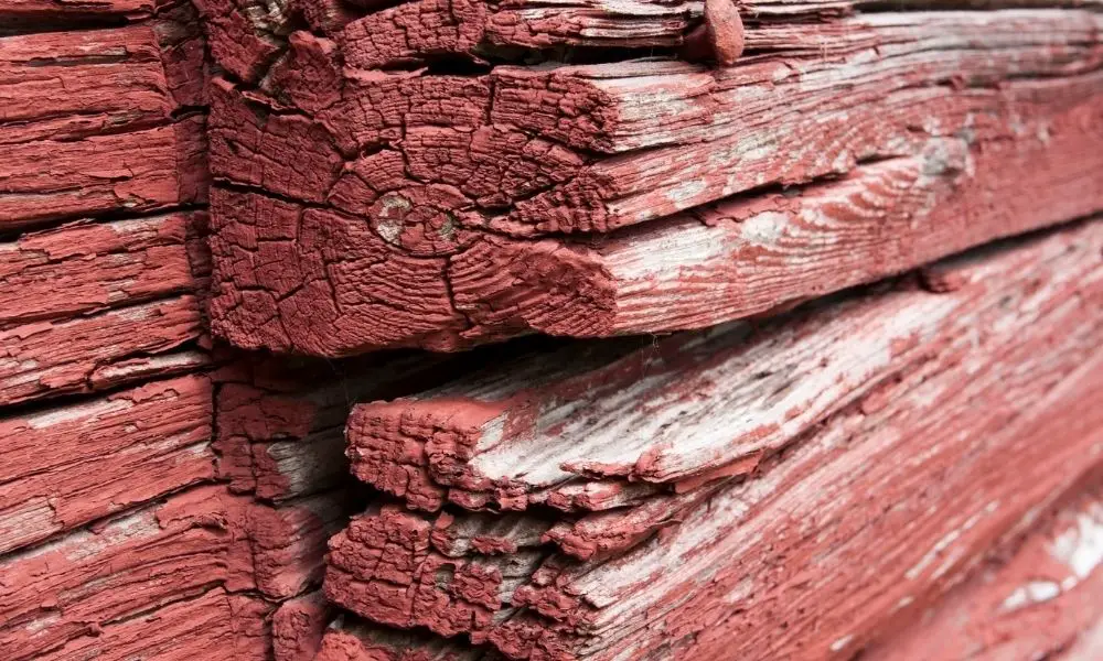 painted log cabin wall