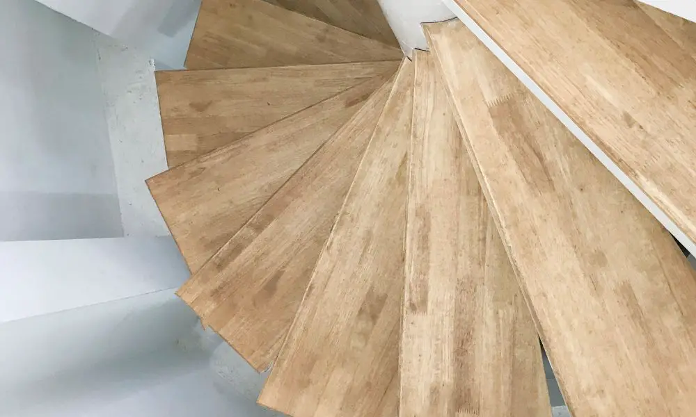 log spiral staircase