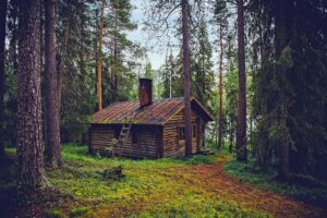 Historic US log cabin