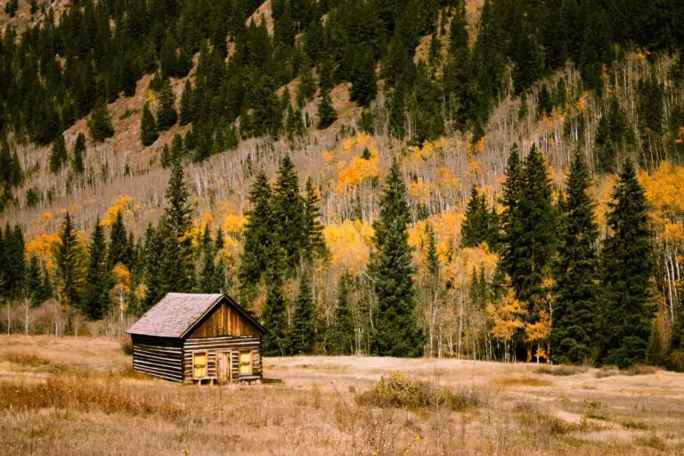 Off-Grid Living in a Log Cabin: Solar, Water, and Heating Solutions